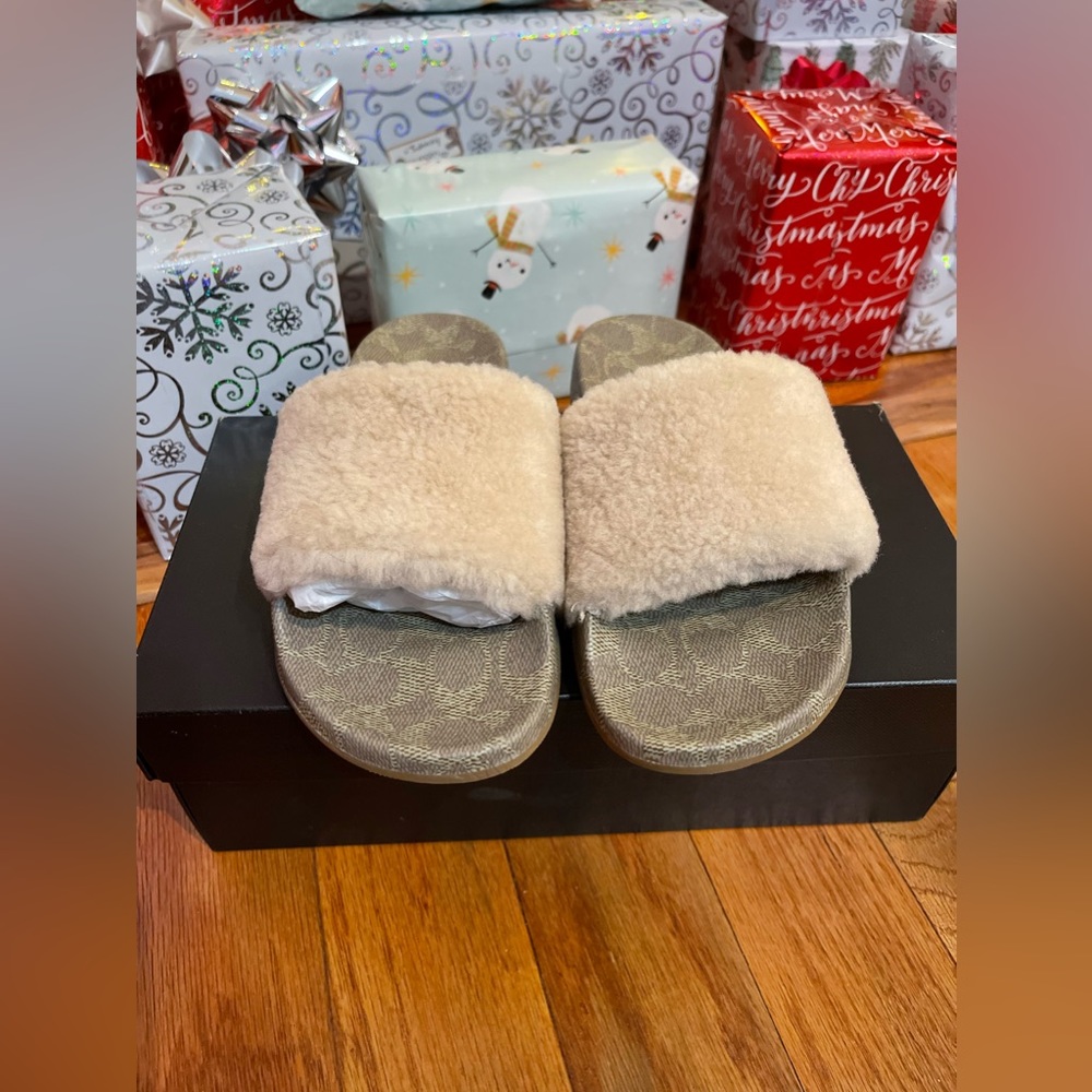 Coach Slides